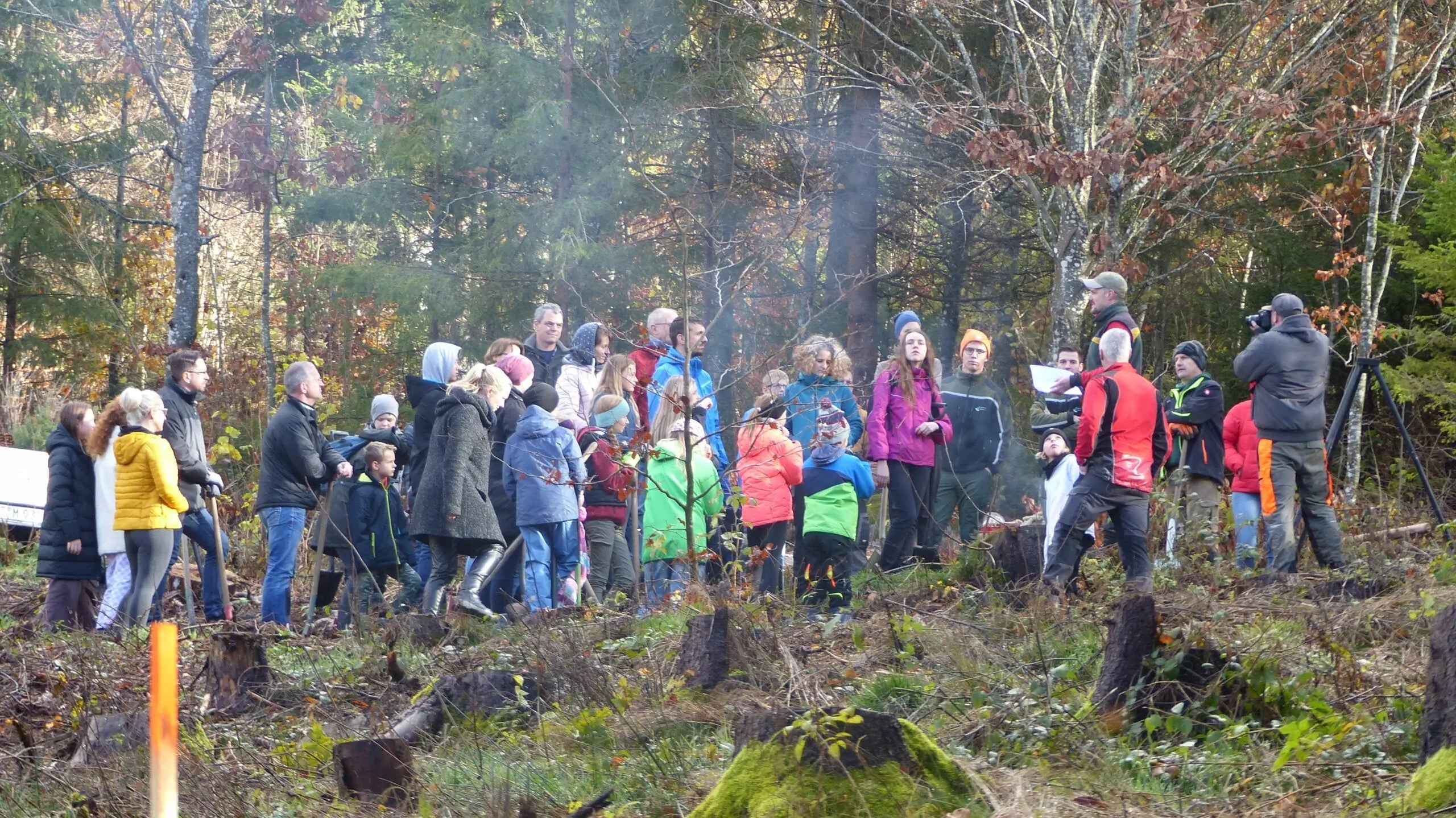 Schüler pflanzen 250 Bäume im Schwarzwald