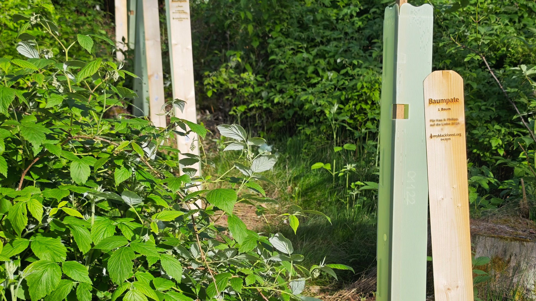 Die ersten Schilder stehen – unsere April-Bäume bekommen ihren Namen 🌱