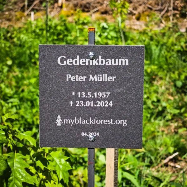 Baumgruppe mit fünf Gedenkbäumen - MyBlackforest.org
