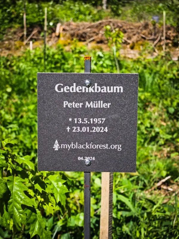 Baumgruppe mit fünf Gedenkbäumen - MyBlackforest.org