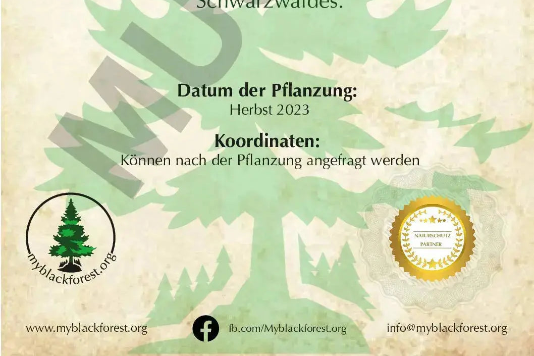 Premium Baumpatenschaft, Esskastanie - MyBlackforest.org