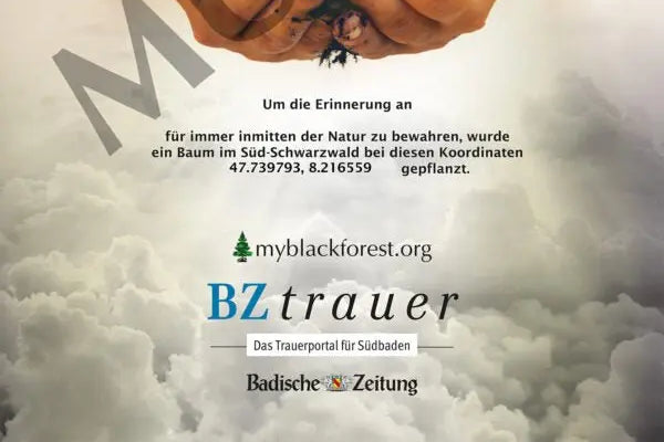 Premium Esskastaniengedenkbaum - MyBlackforest.org