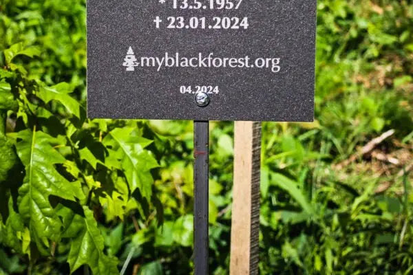 Wald der Erinnerung, mit zwölf Bäumen - MyBlackforest.org