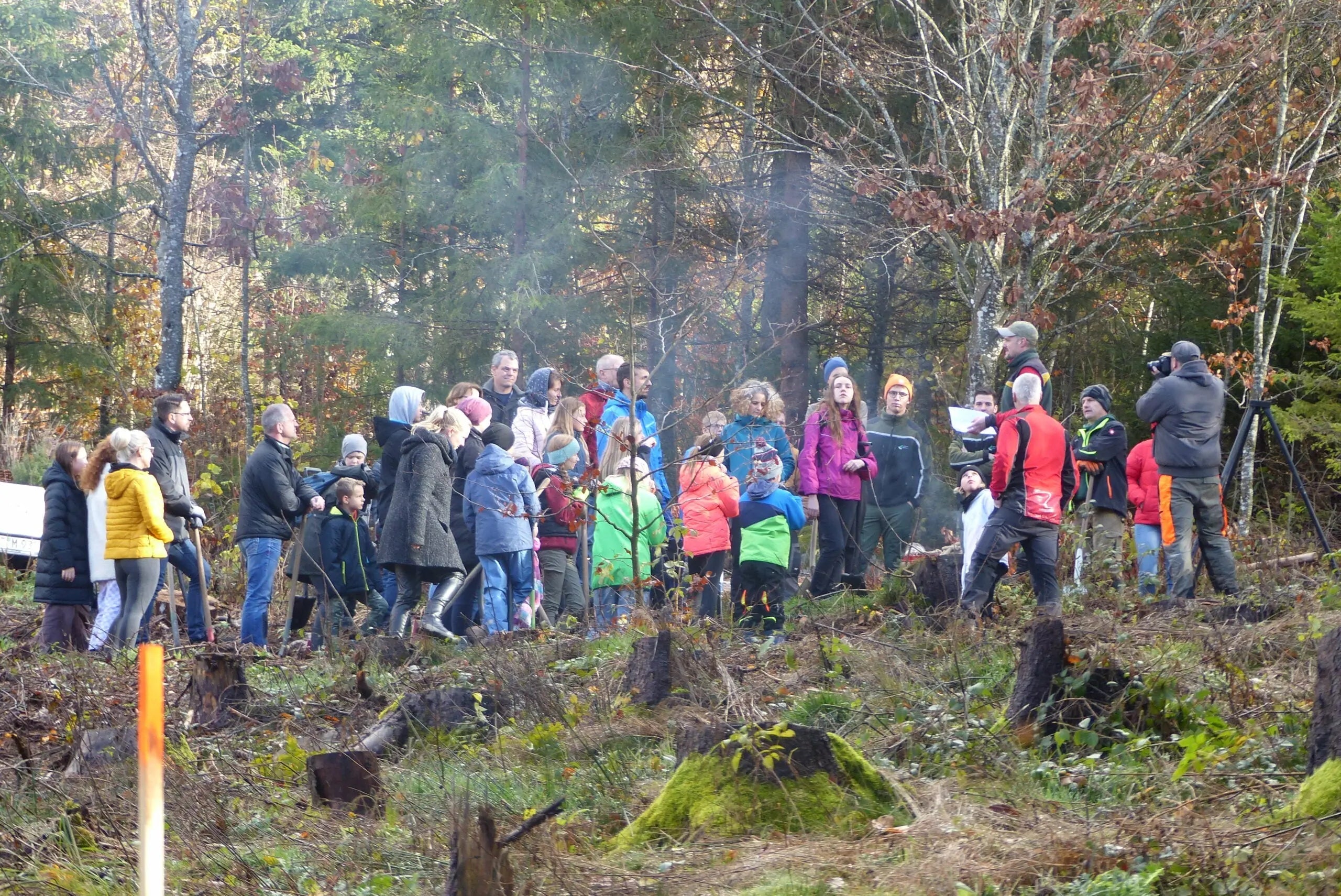 Schüler pflanzen 250 Bäume im Schwarzwald