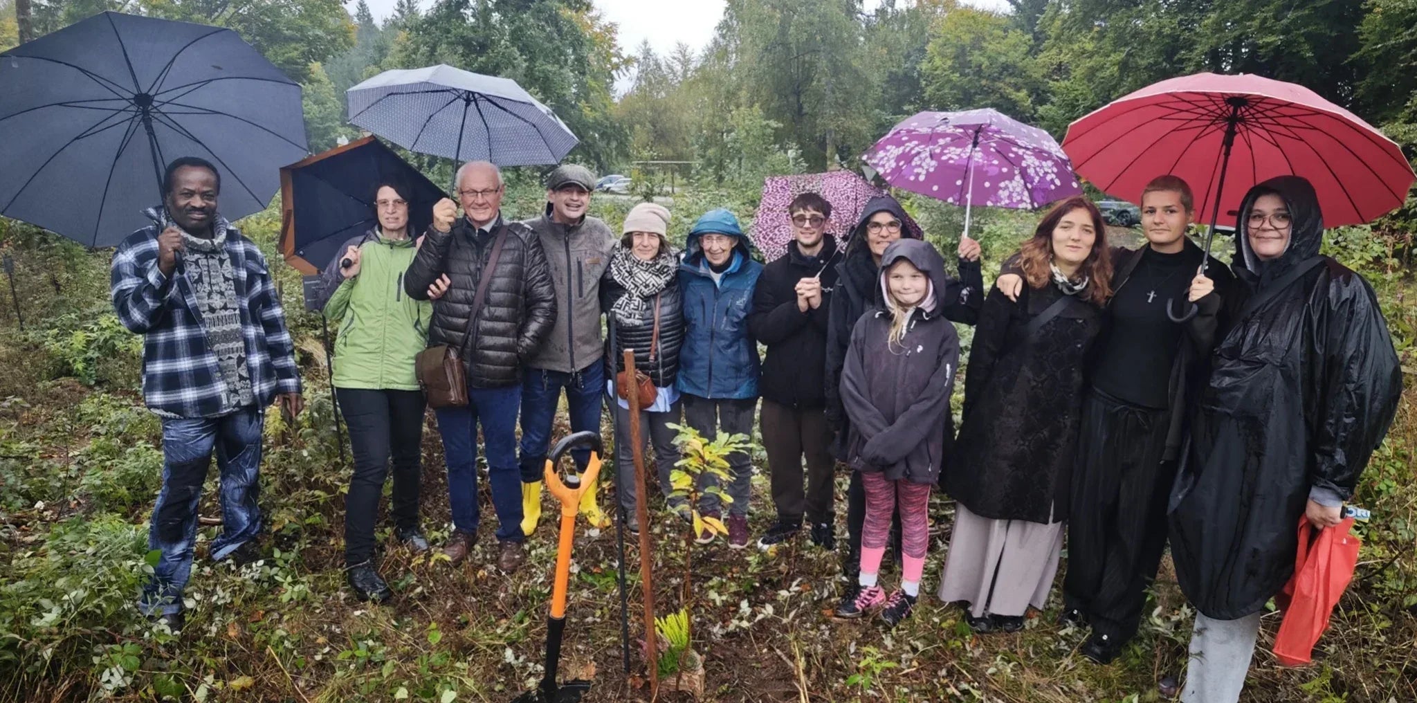 Persönliche Pflanzung eines Gedenkbaums 🌳