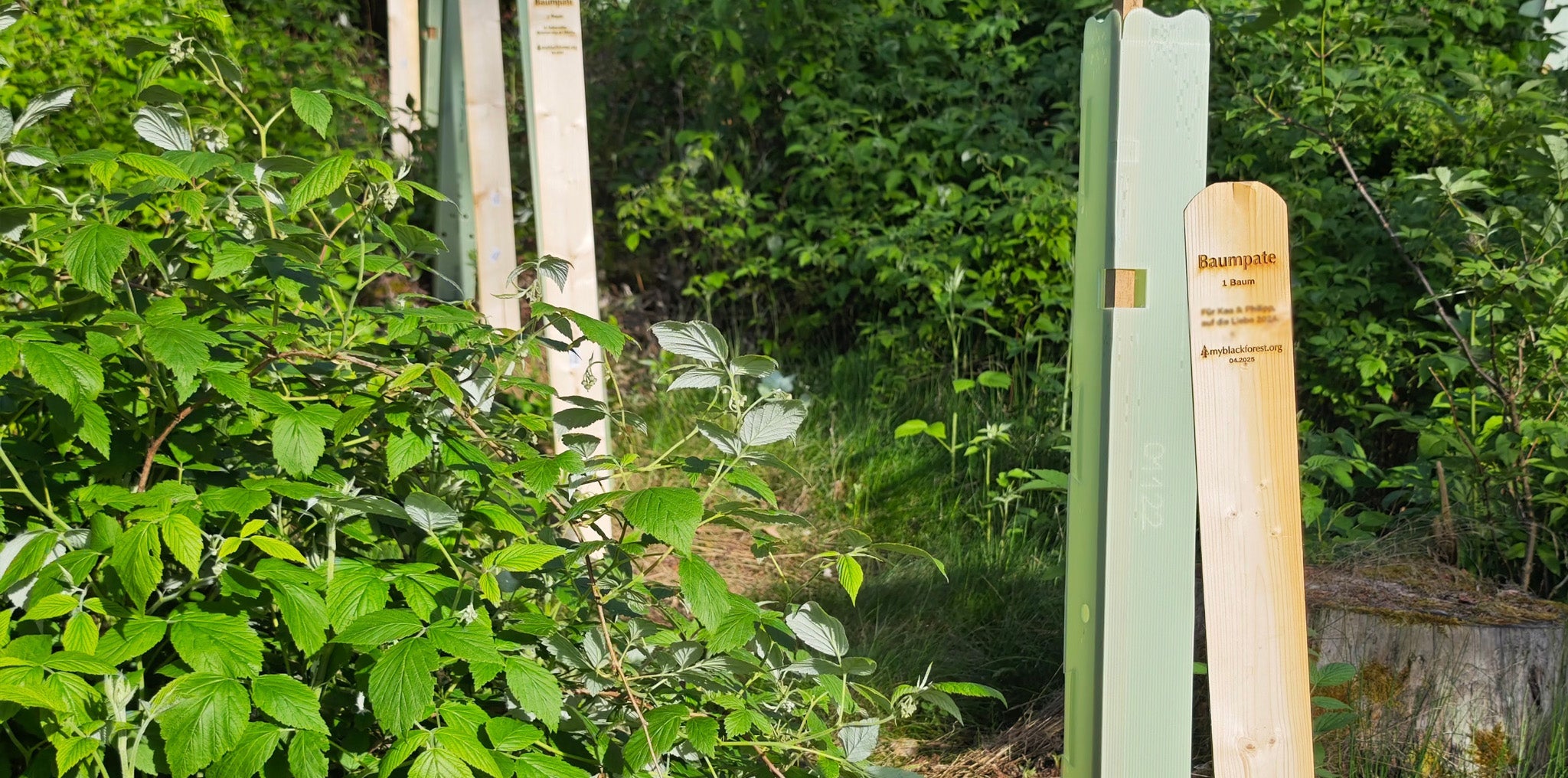 Die ersten Schilder stehen – unsere April-Bäume bekommen ihren Namen 🌱