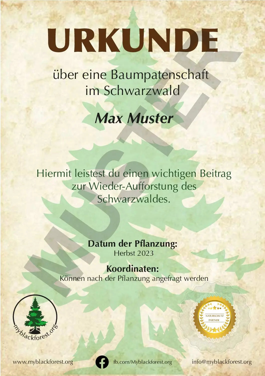 12 Baumpatenschaften – 1 Jahr Klimaneutral - MyBlackforest.org