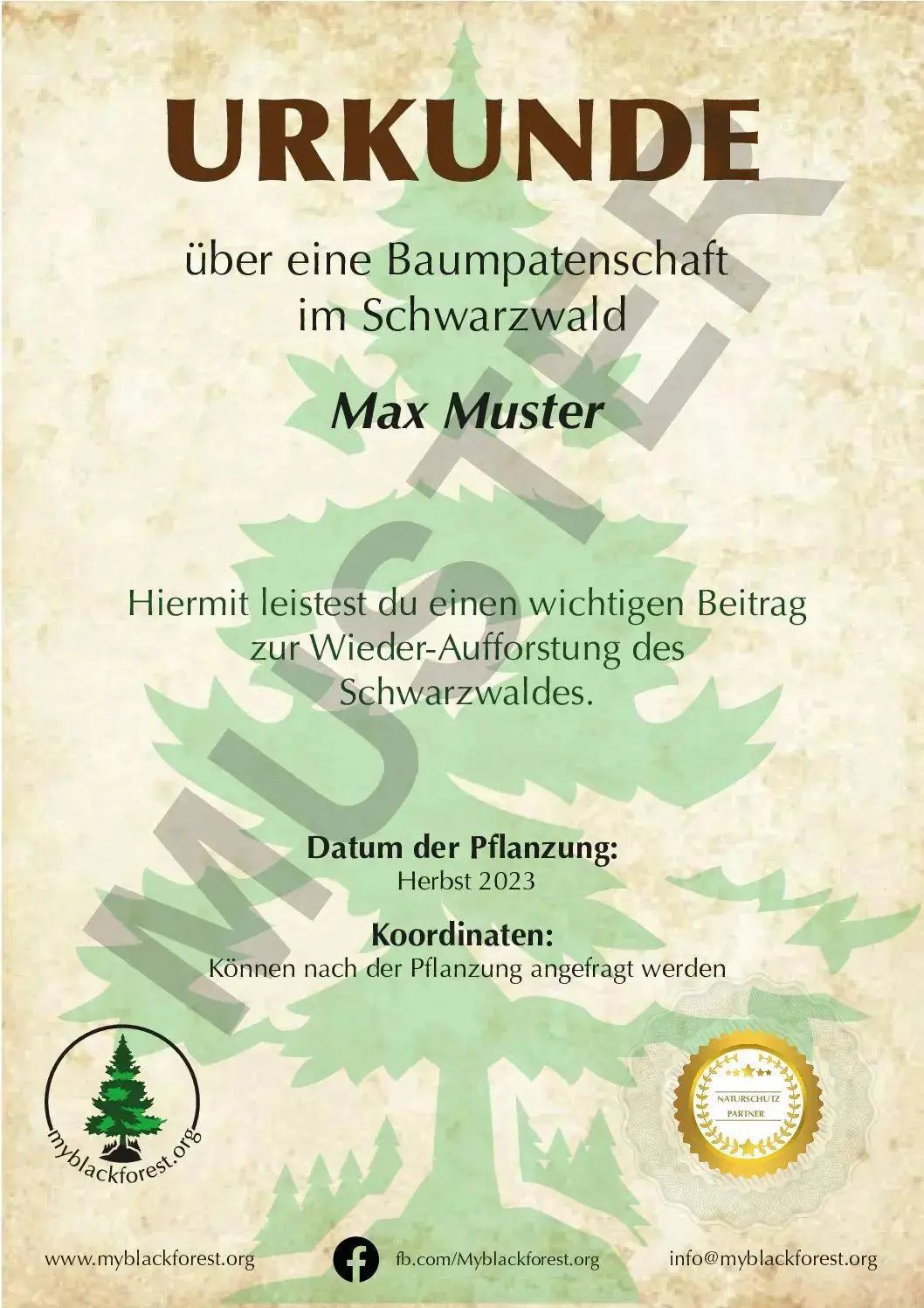 Premium Baumpatenschaft, Esskastanie - MyBlackforest.org