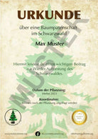 Premium Baumpatenschaft, Esskastanie - MyBlackforest.org